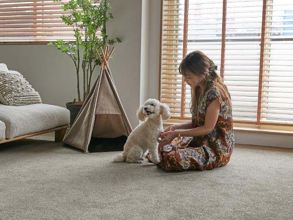 カーペットの敷かれた部屋で犬と飼い主が寛ぐ