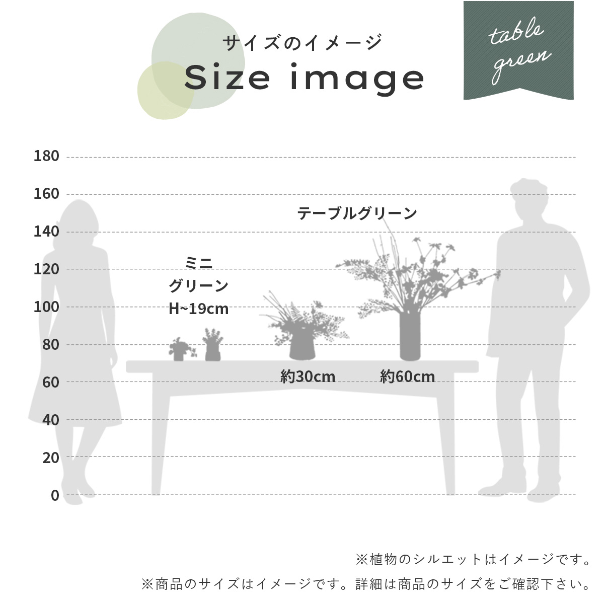 壁掛けグリーン　テッセンソウ×ファーン ウォールデコ サイズイメージ