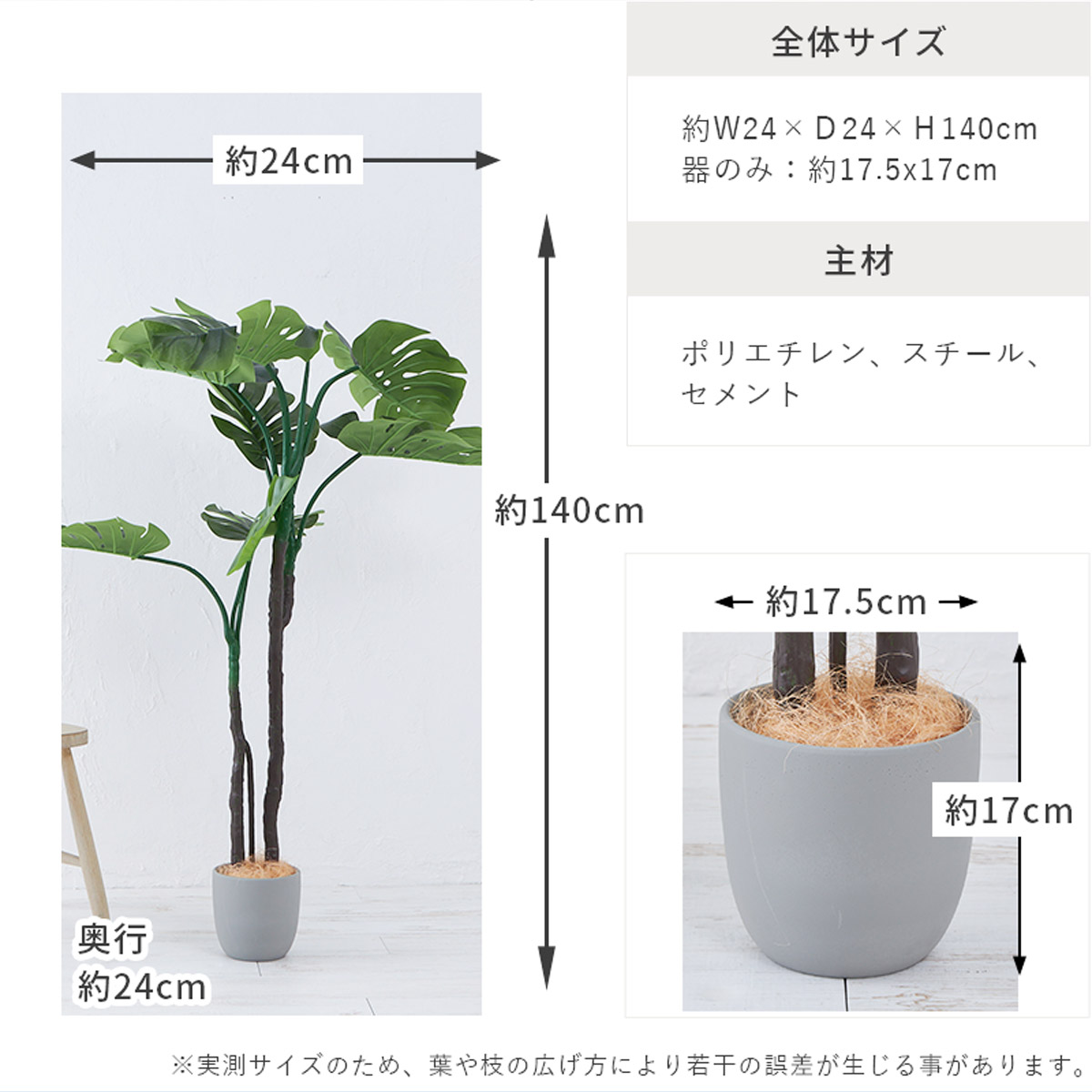 モンステラ　H140 サイズ