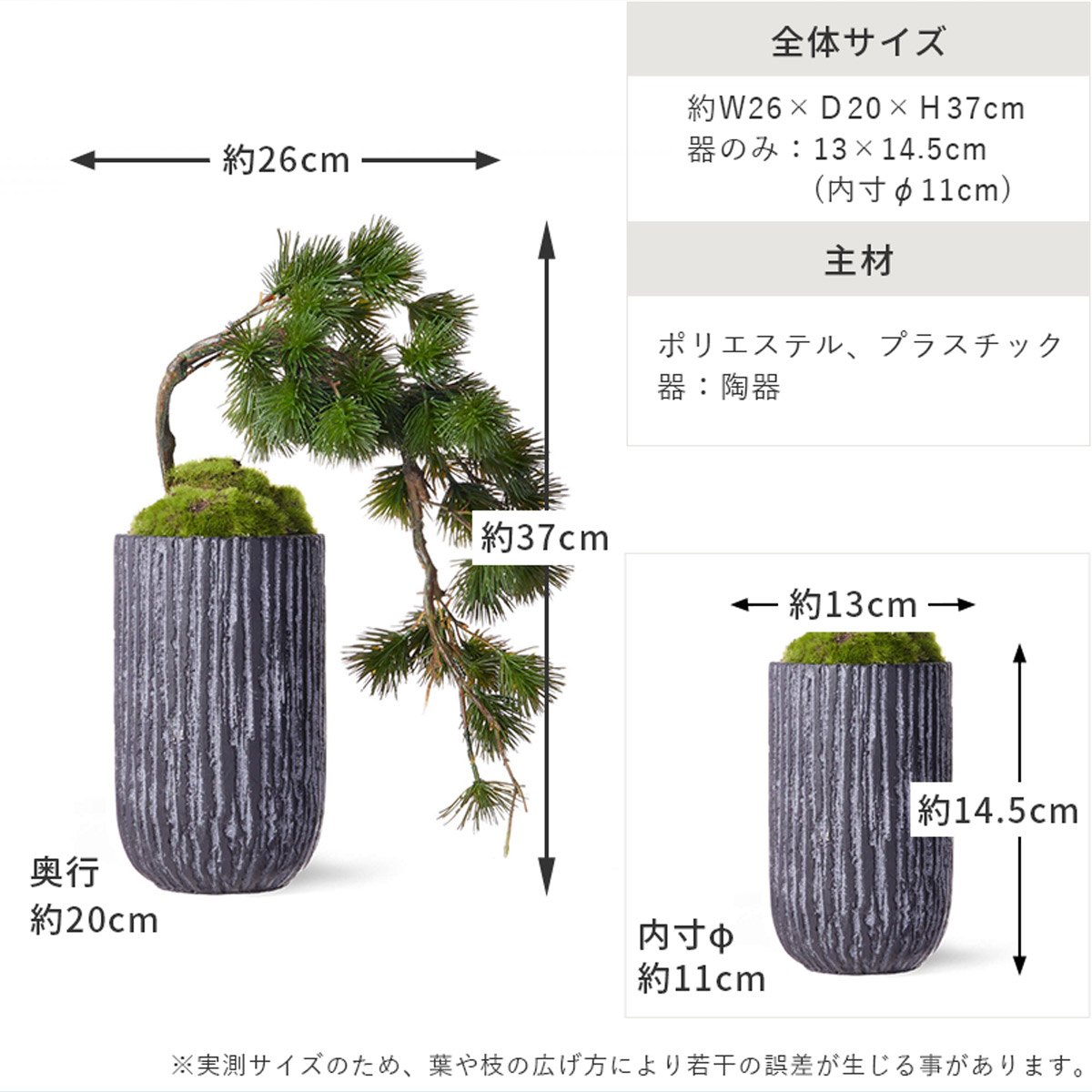 テーブルグリーン　松ｘ苔盆　H37 サイズ