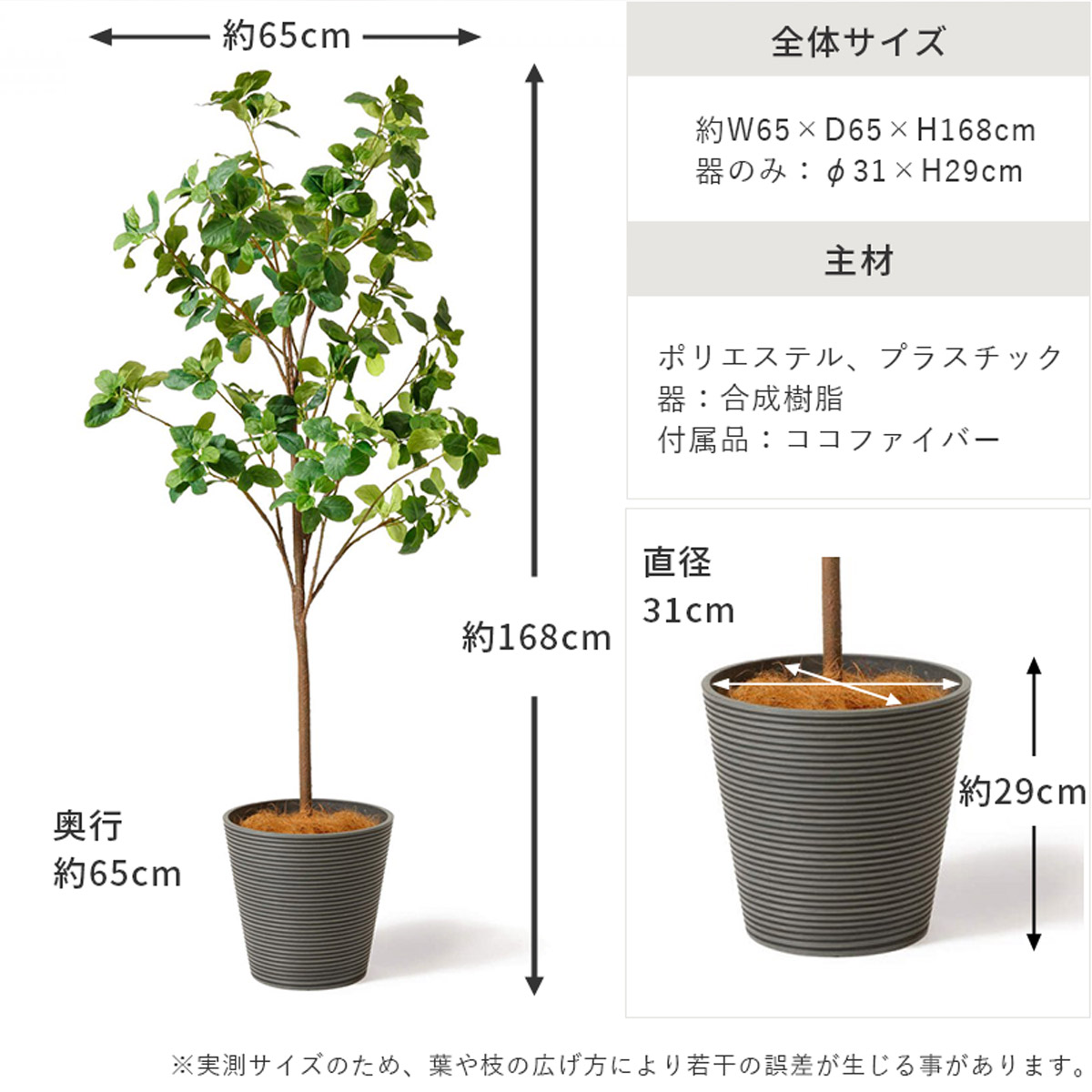 フマグノリア H168の説明