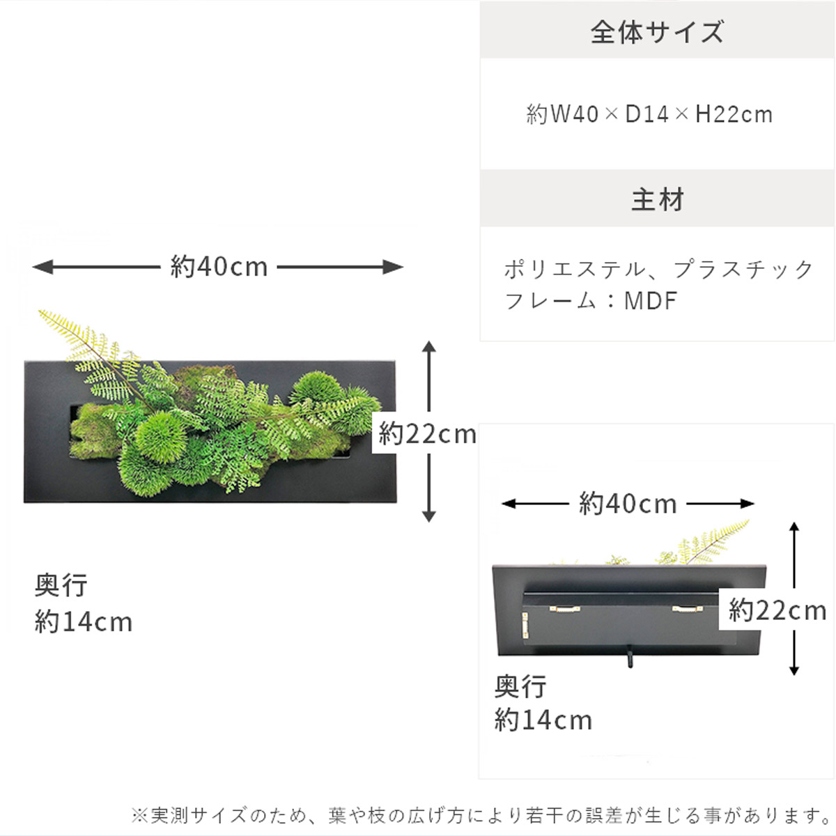 壁掛けグリーン マリモｘシノブ 和モダンサイズ01