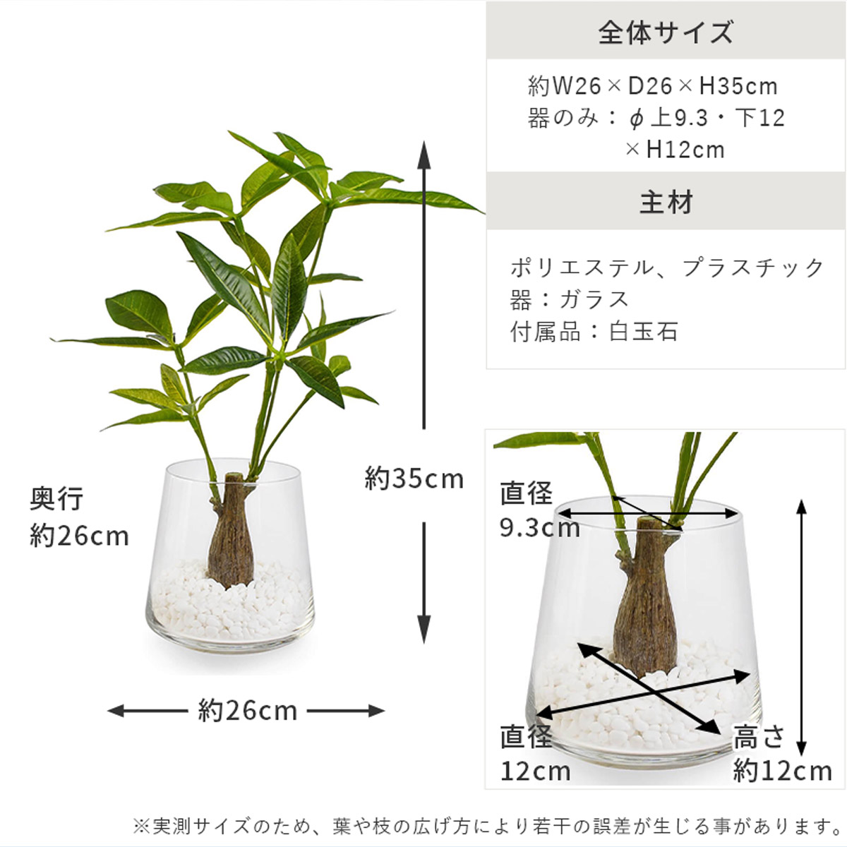 テーブルグリーン パキラ ガラスベース H35 サイズ