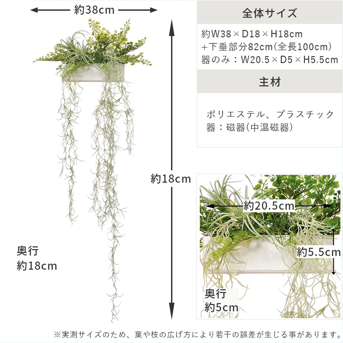 卓上グリーン　スパニッシュモス サイズ