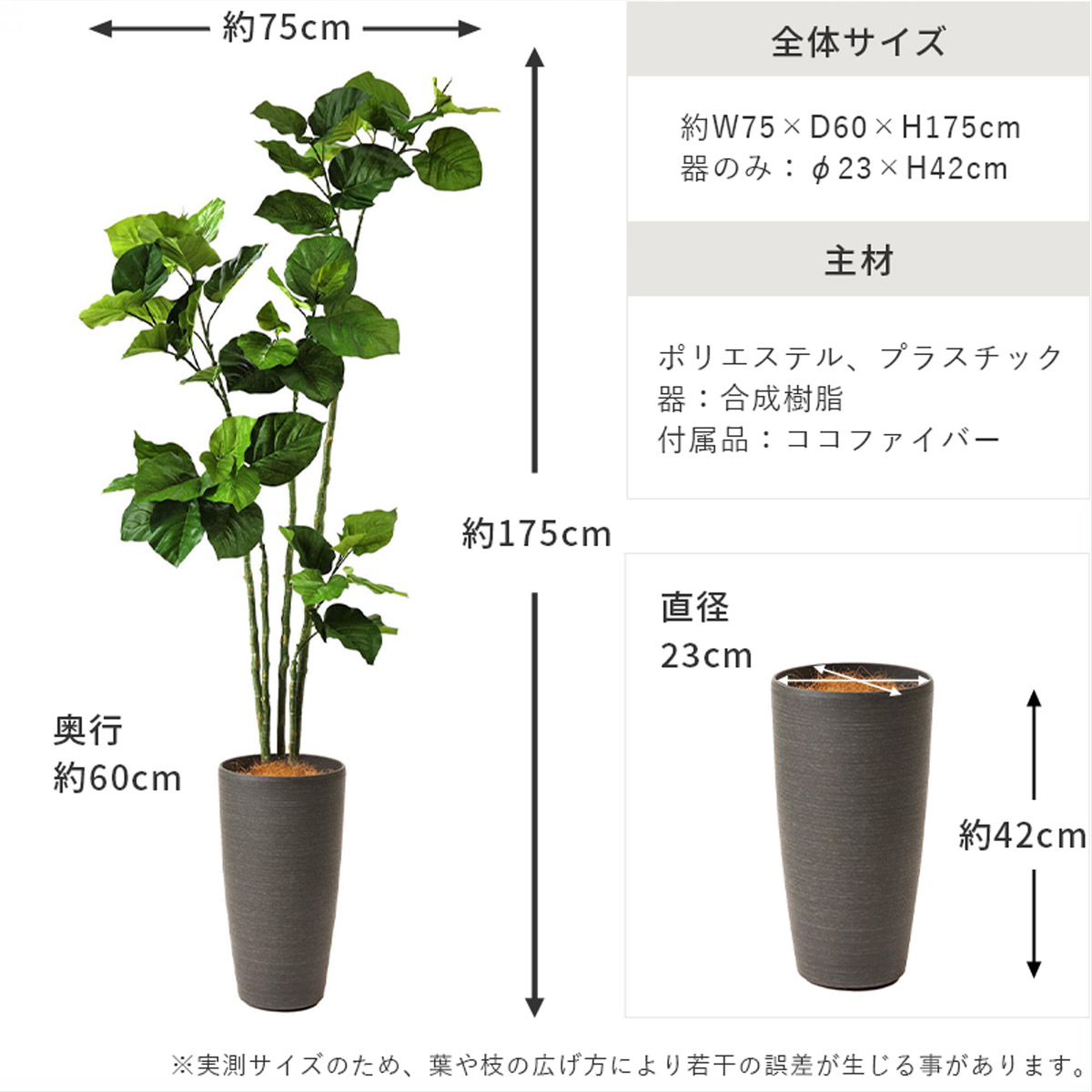 ウンベラータ スリムポット H175cmの説明