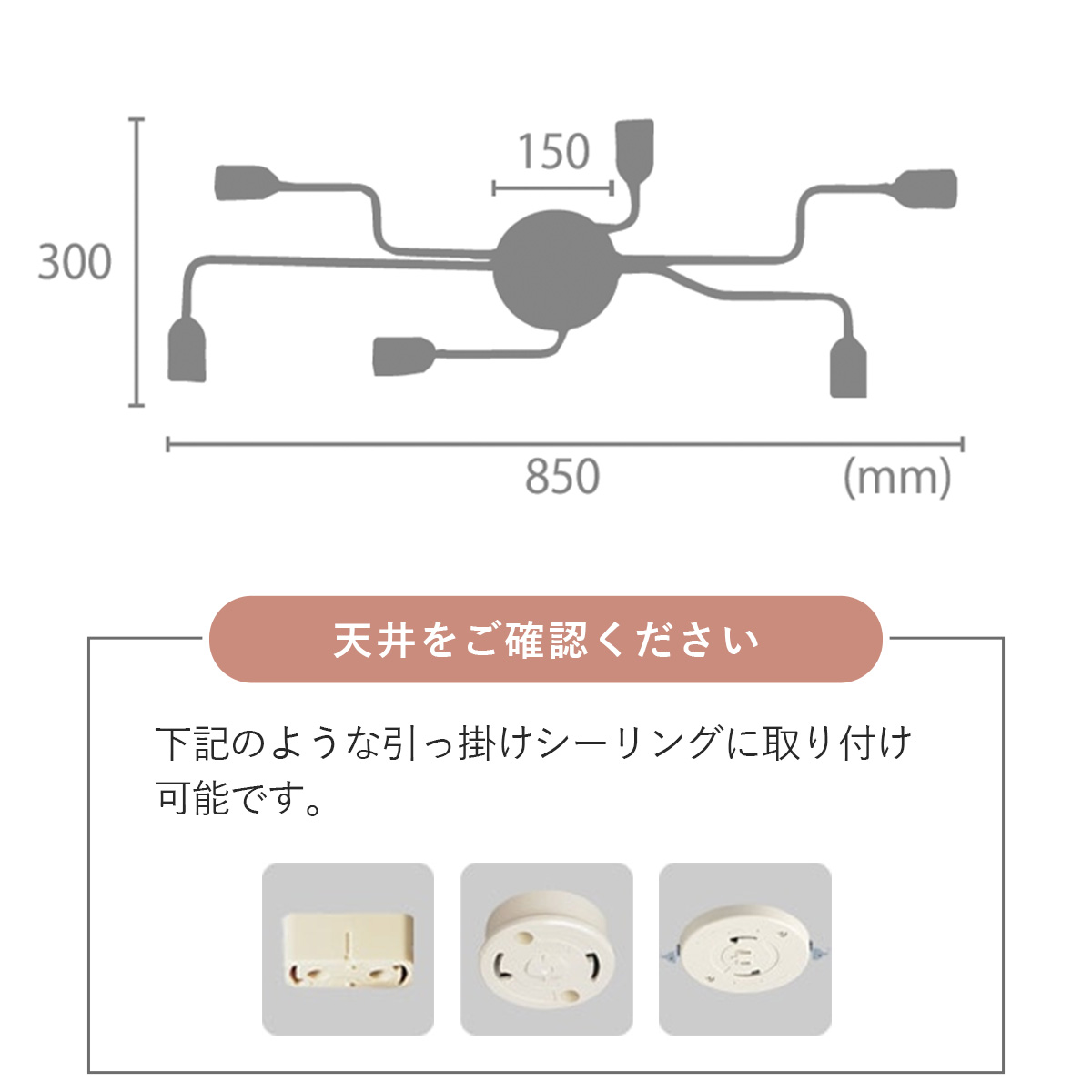 ゲノム　6灯　サイズ詳細